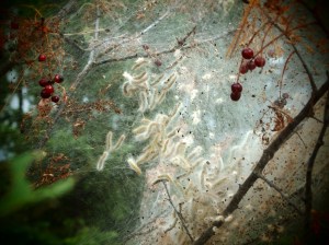 ???????????????????????????????