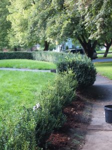 ???????????????????????????????