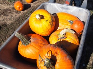 ???????????????????????????????