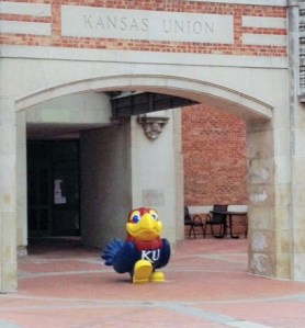 kujayhawk